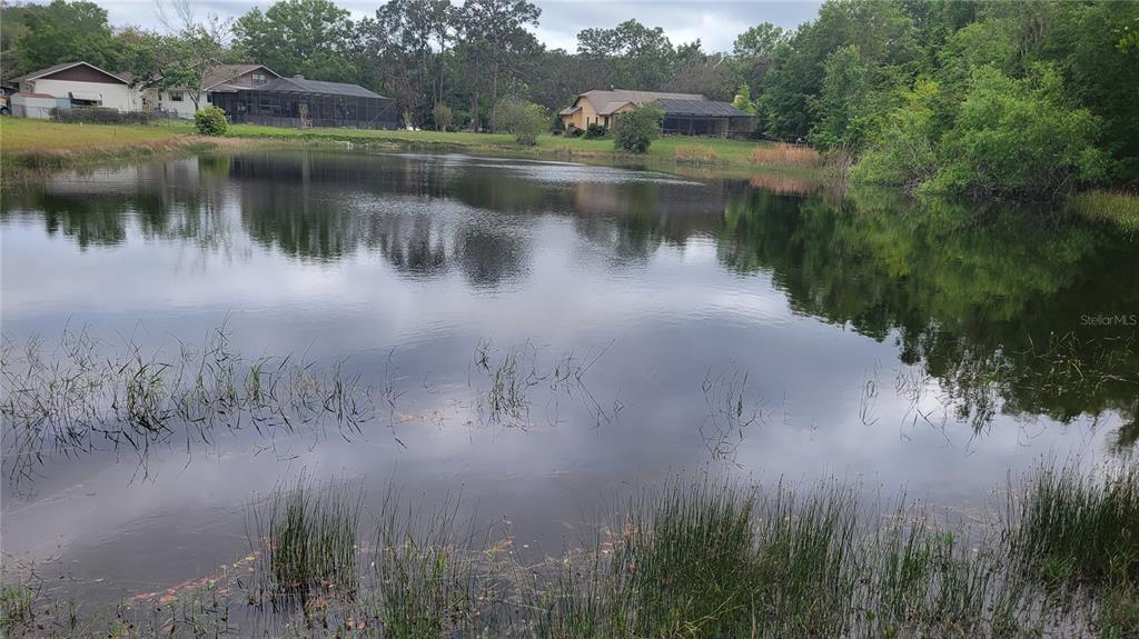 GOLDEN ACRES