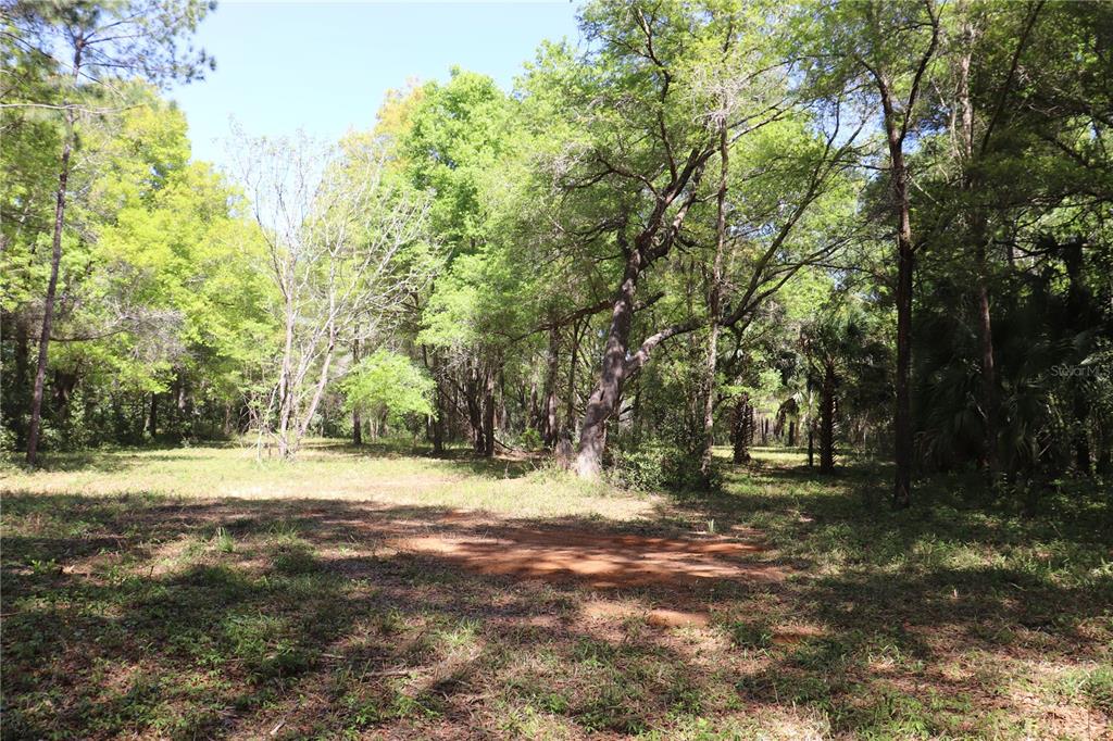 SILVER RANCHES ESTATE