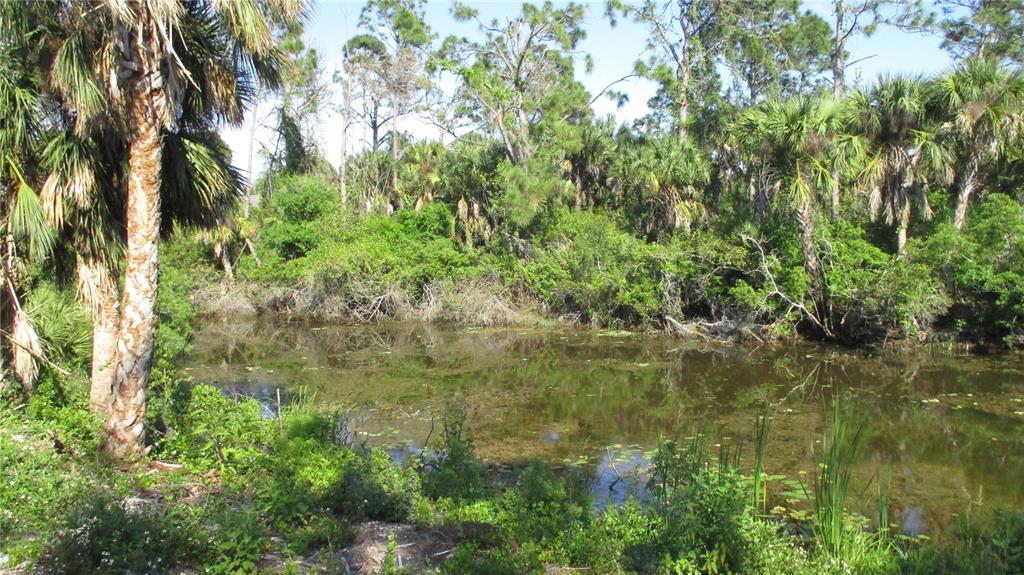 PORT CHARLOTTE SUB 05