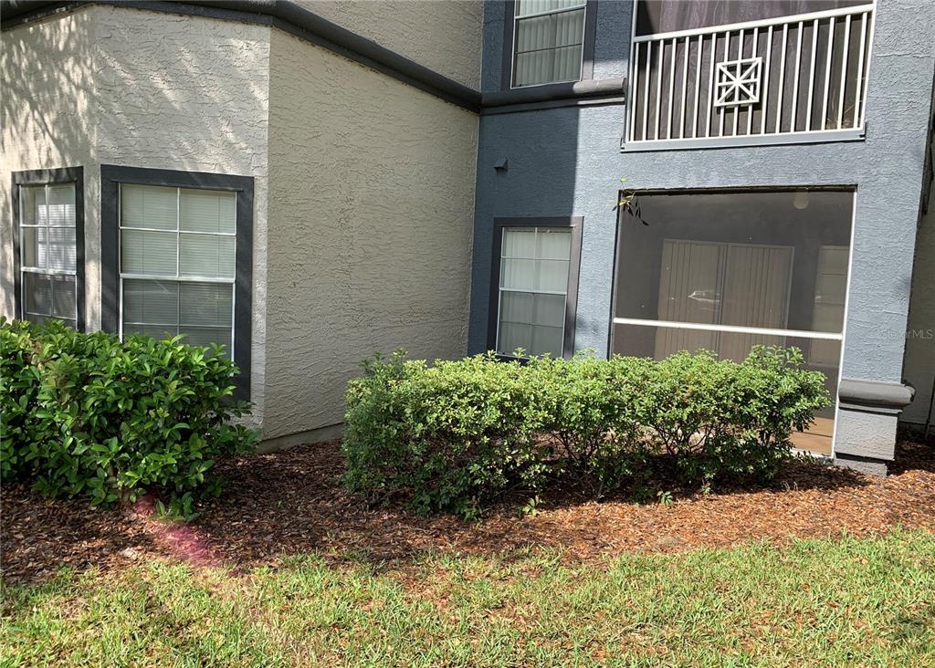 THE FALLS AT NEW TAMPA A CONDO