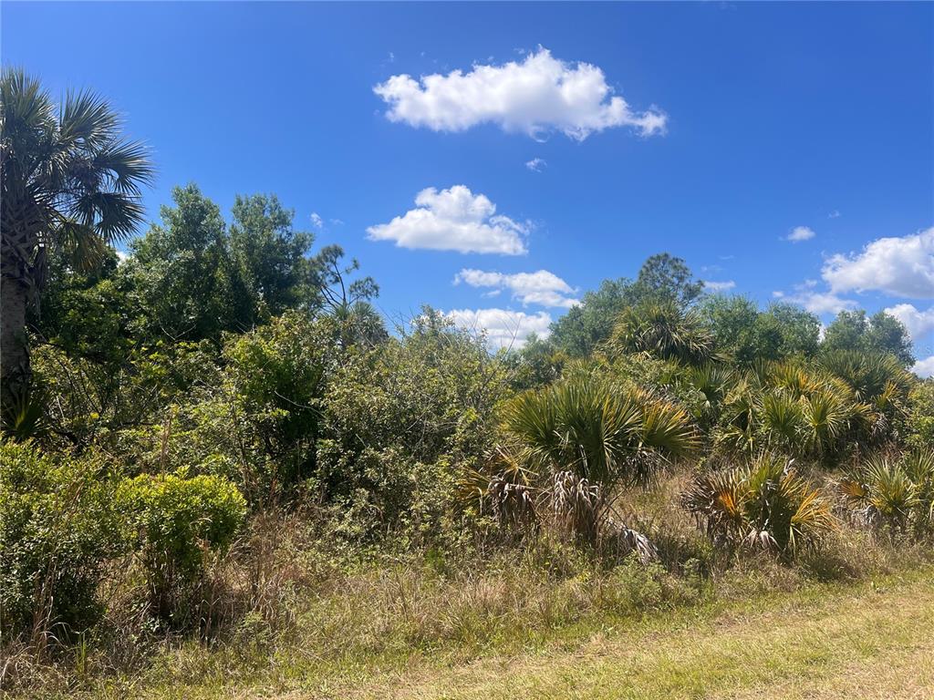 PORT CHARLOTTE SUB 46