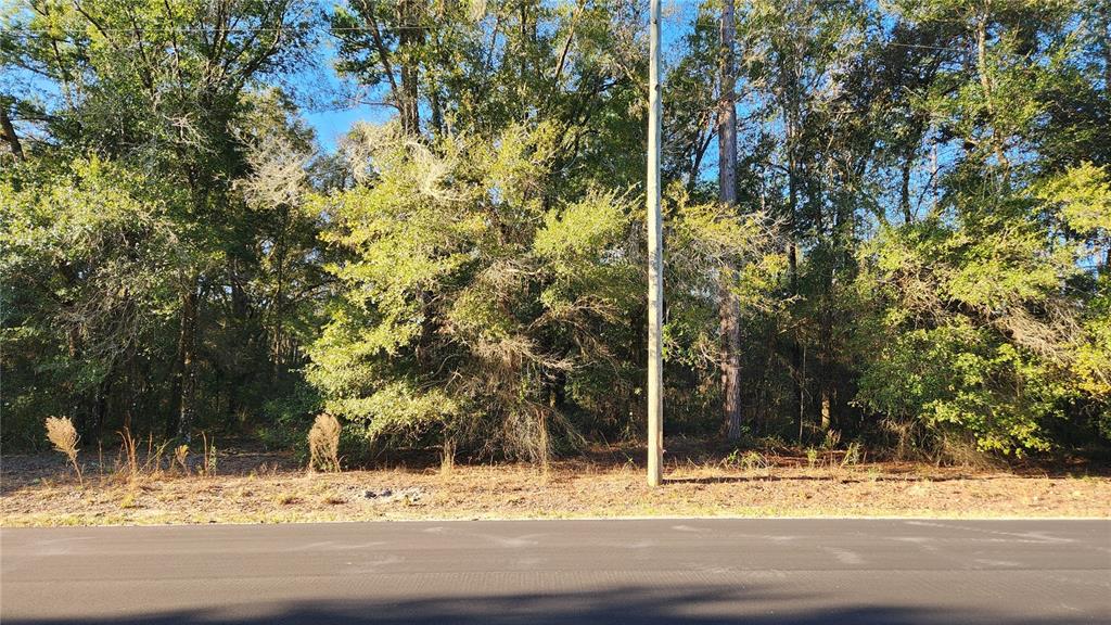 SILVER SPGS SHORES UN 33