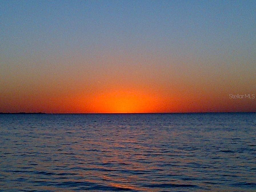 GULF HARBORS SEA FOREST