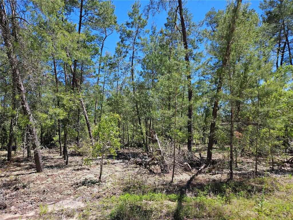 WILLISTON HIGHLANDS UNIT 7