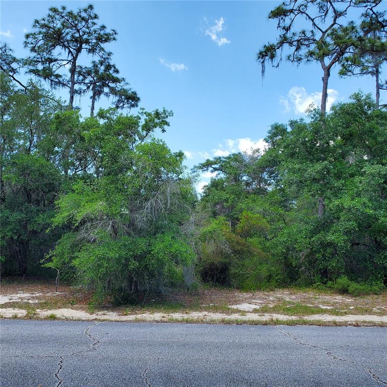 POINCIANA NBRHD 02 WEST VILLAGE 07