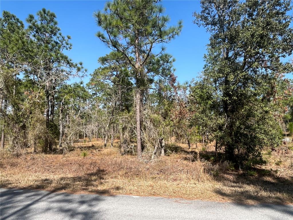 RAINBOW LAKES ESTATE