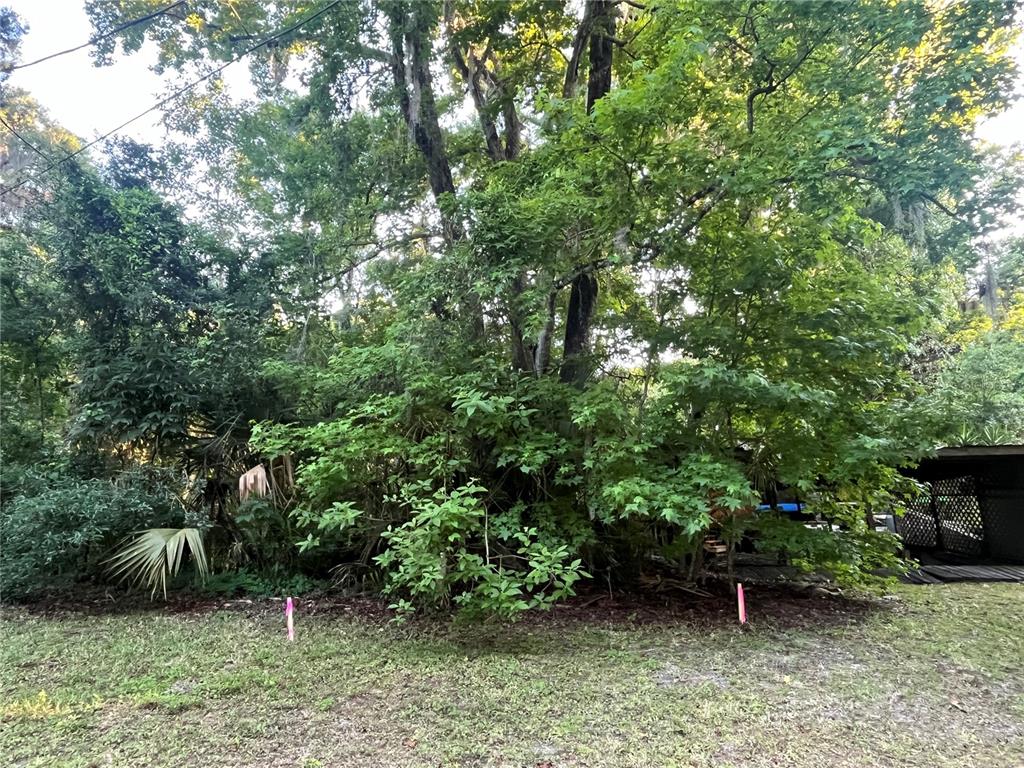 SPRING RUN ESTATES