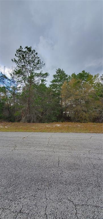 POINCIANA NBRHD 02 WEST VILLAGE 07