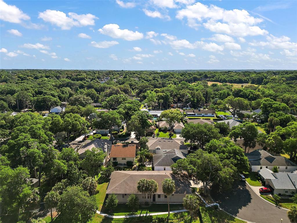 MOUNT DORA HIGH POINT AT LAKE DORA