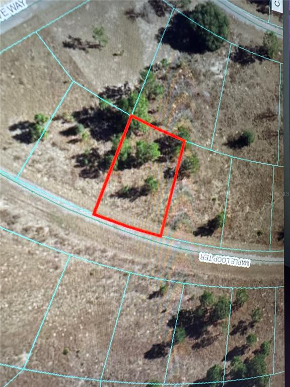 SILVER SPGS SHORES UN 31