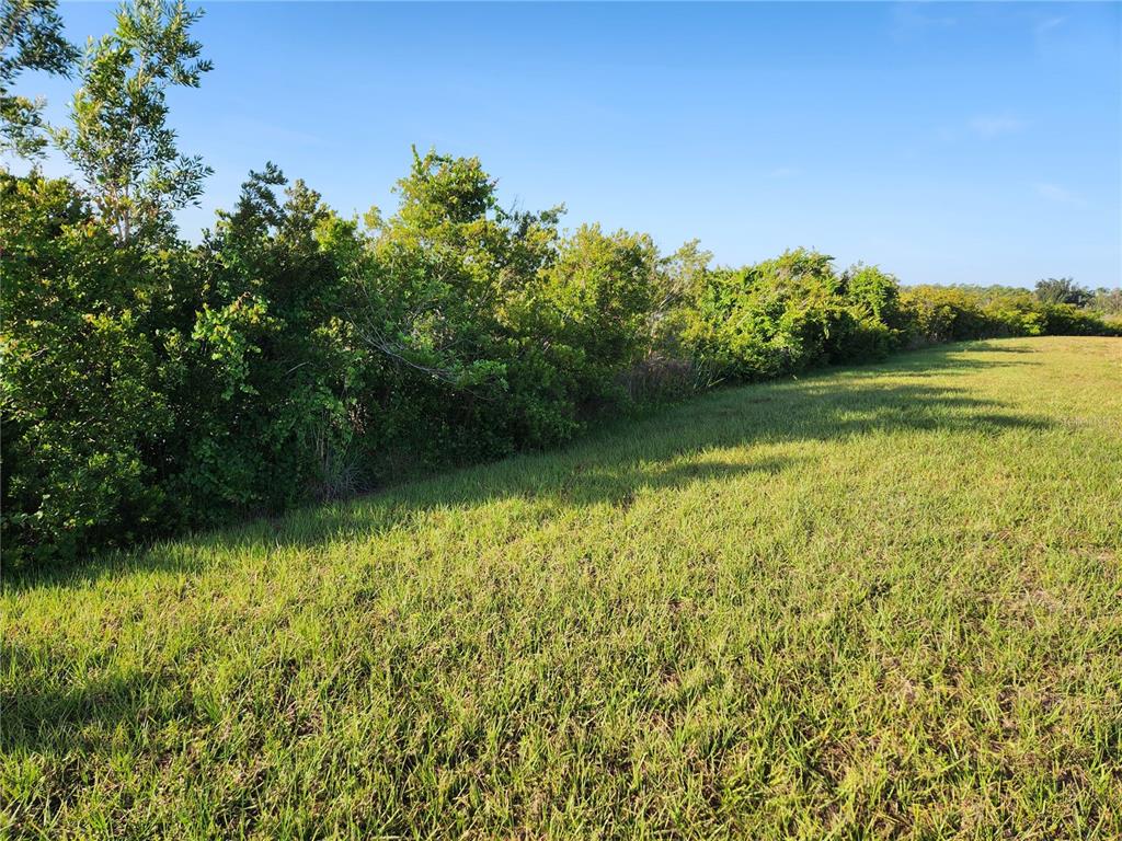 ROTONDA MEADOWS