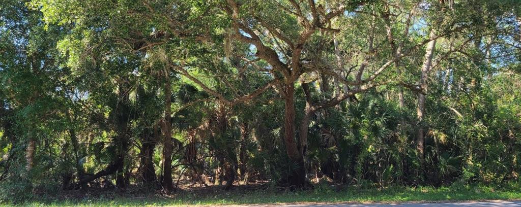 PORT CHARLOTTE SEC 038