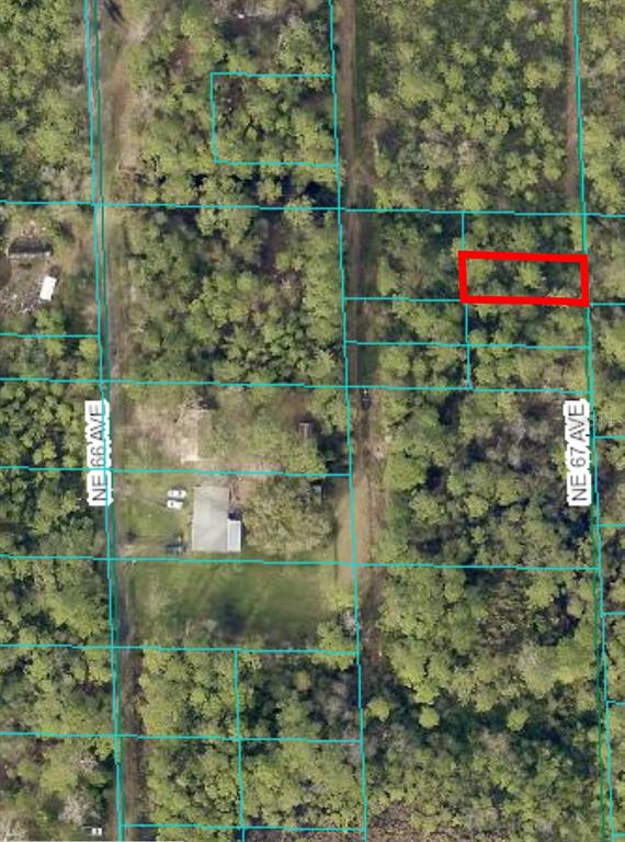 BLACK SINK CAMPSITES