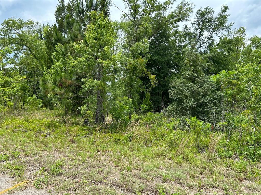 SILVER SPGS SHORES UN 38