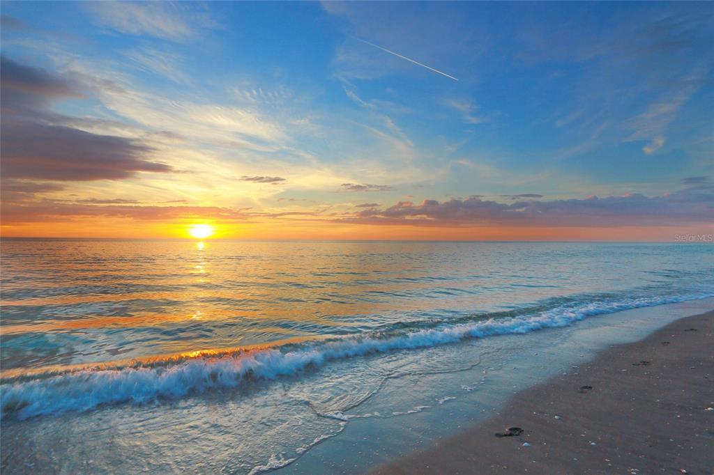 DOLPHIN BAY-SIESTA KEY SEC A