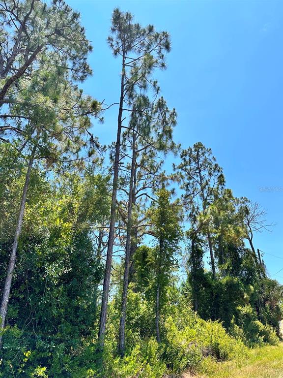 PORT CHARLOTTE SUB 18