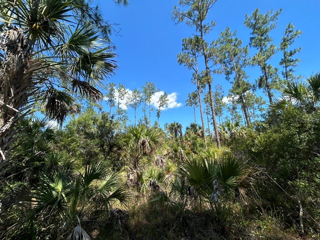 GOLDEN GATE ESTATE UNIT 90