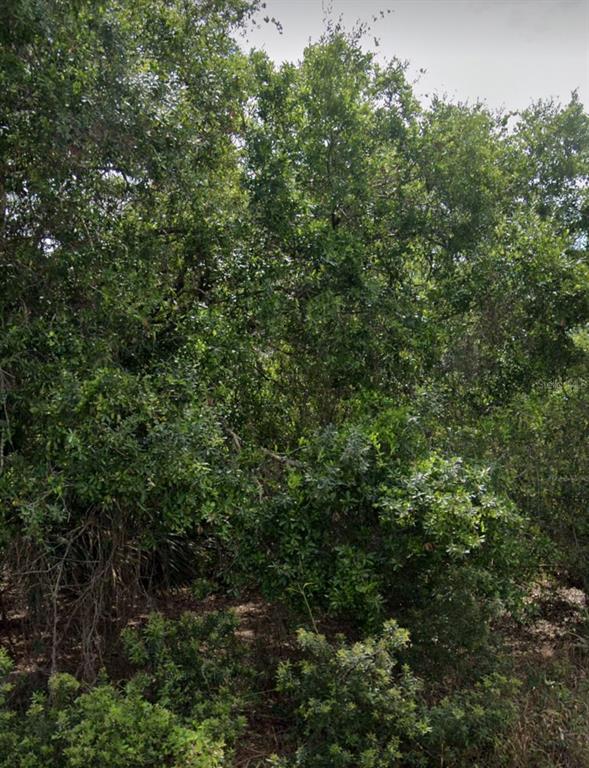 PORT CHARLOTTE SEC 013