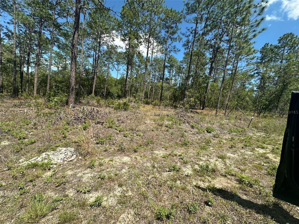 RAINBOW LAKES ESTATE