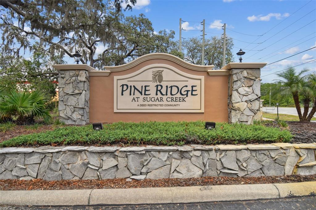 PINE RIDGE AT SUGAR CREEK PH 01