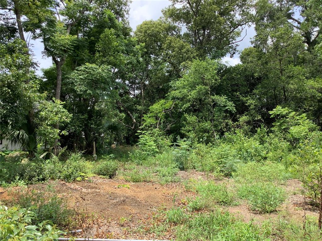 SORRENTO PAXTON & SOMMERVILLES