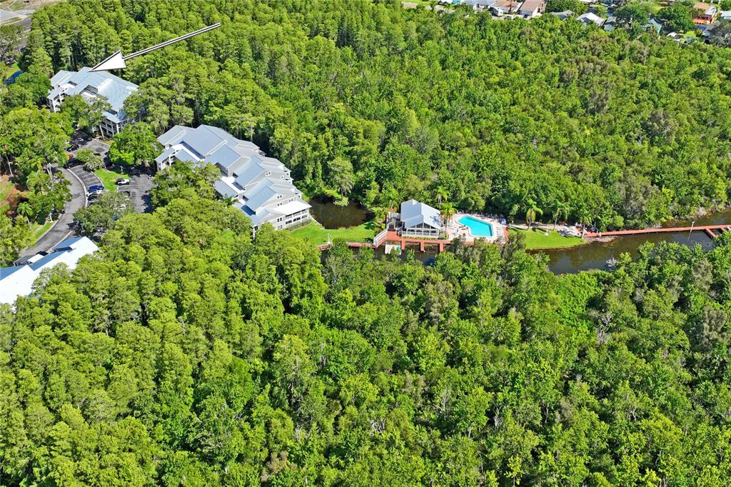 DOLLY BAY A VILLAGE ON LAKE TARPON