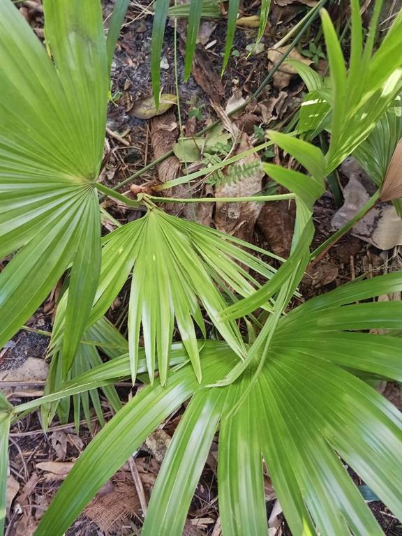 COOPER LAKES  ESTATES