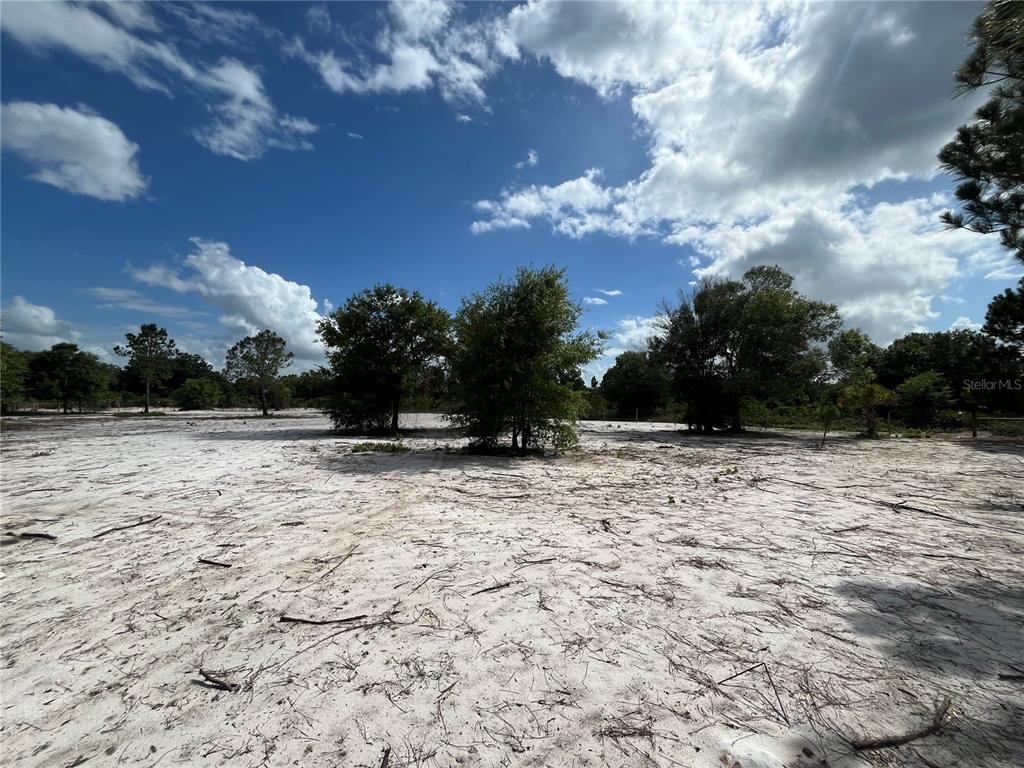 SOUTHERN COLONIZATION CO