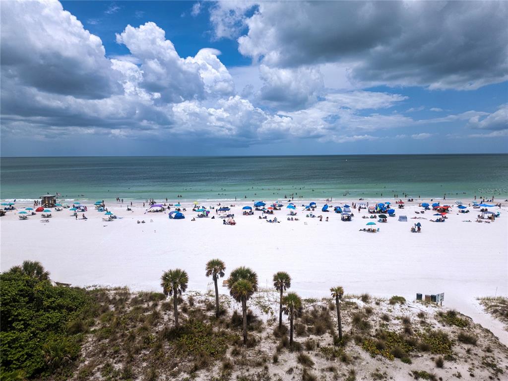 THE SAND DOLLAR