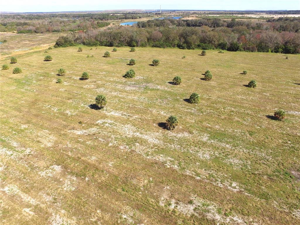 RANCHES AT THE JUNCTION