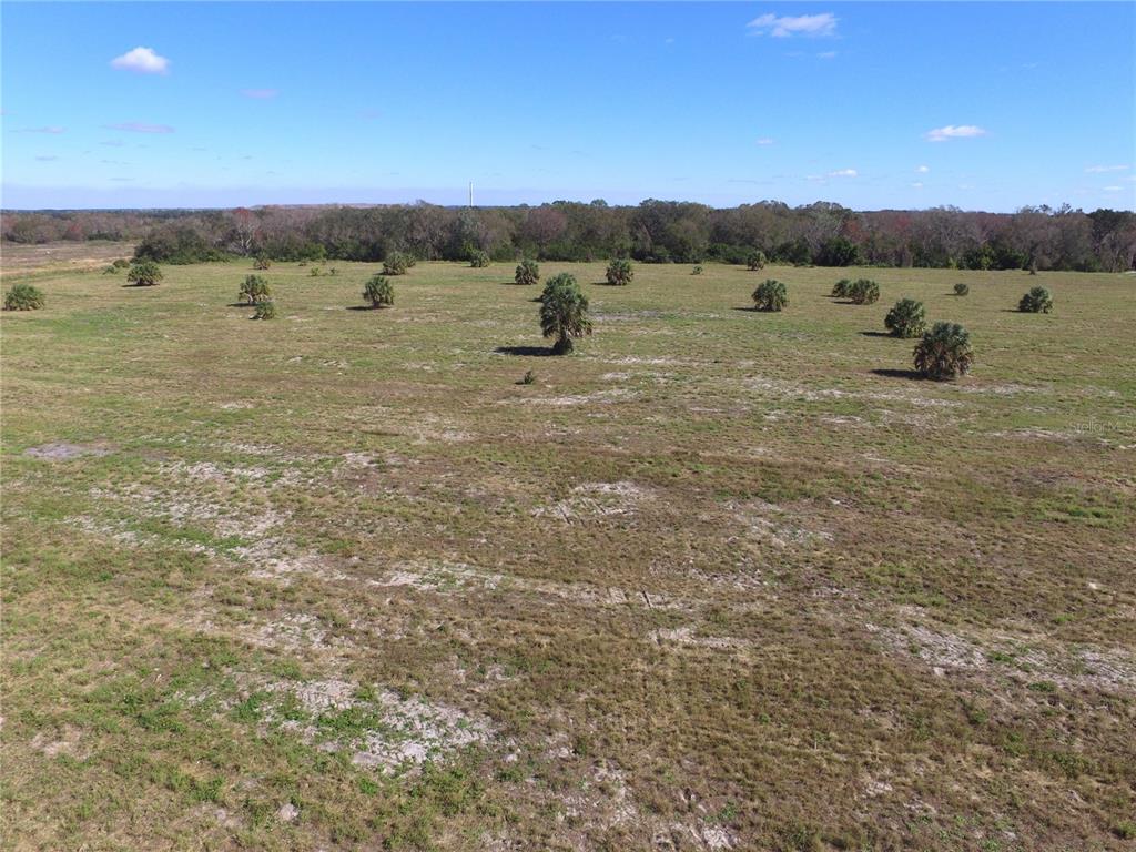 RANCHES AT THE JUNCTION