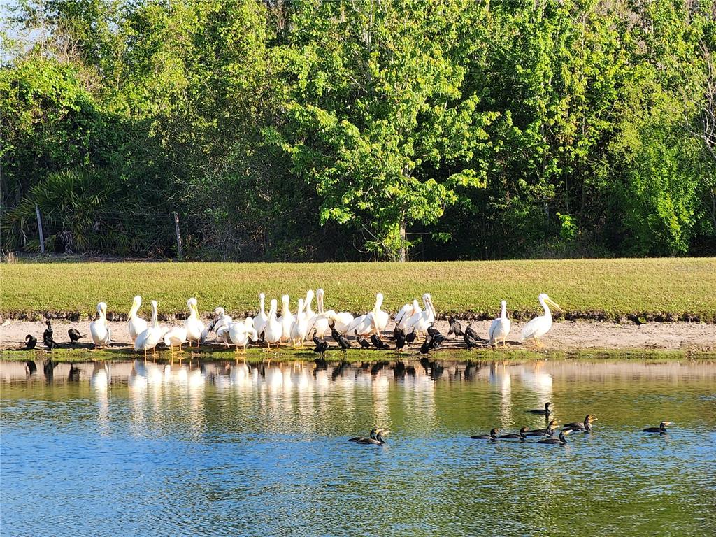 SAWGRASS PLANTATION PH 01A