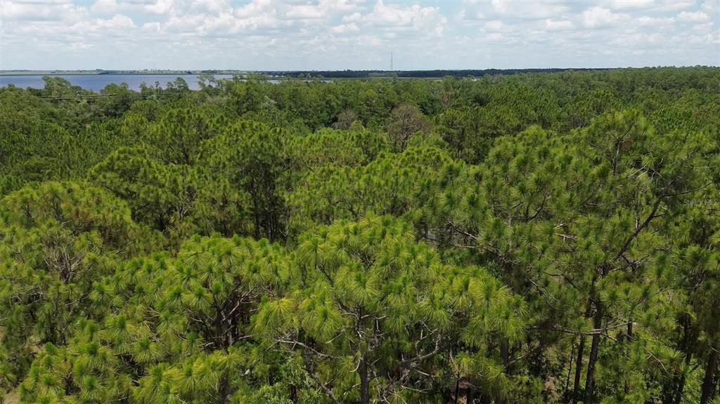 LAKE CALOOSA LANDING PH 04