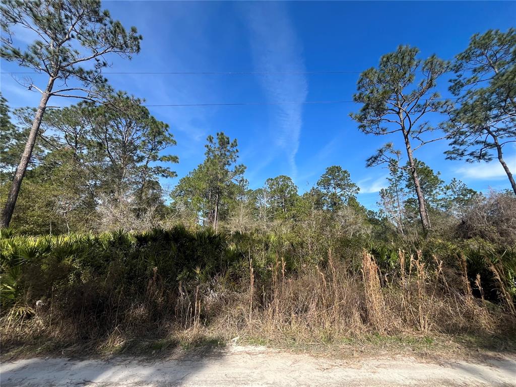 INTERLACHEN LAKES ESTATES