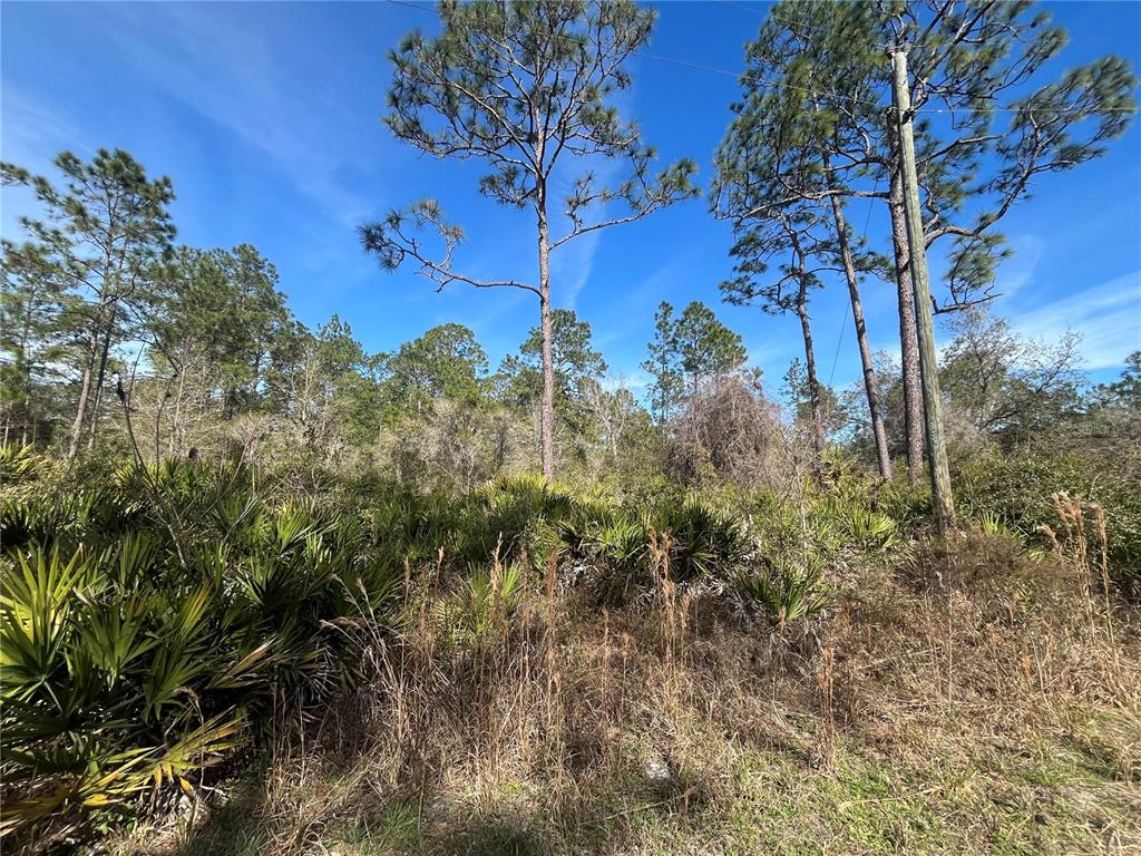 INTERLACHEN LAKES ESTATES