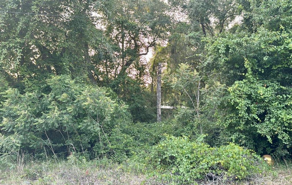 LAND O LAKES ESTATES