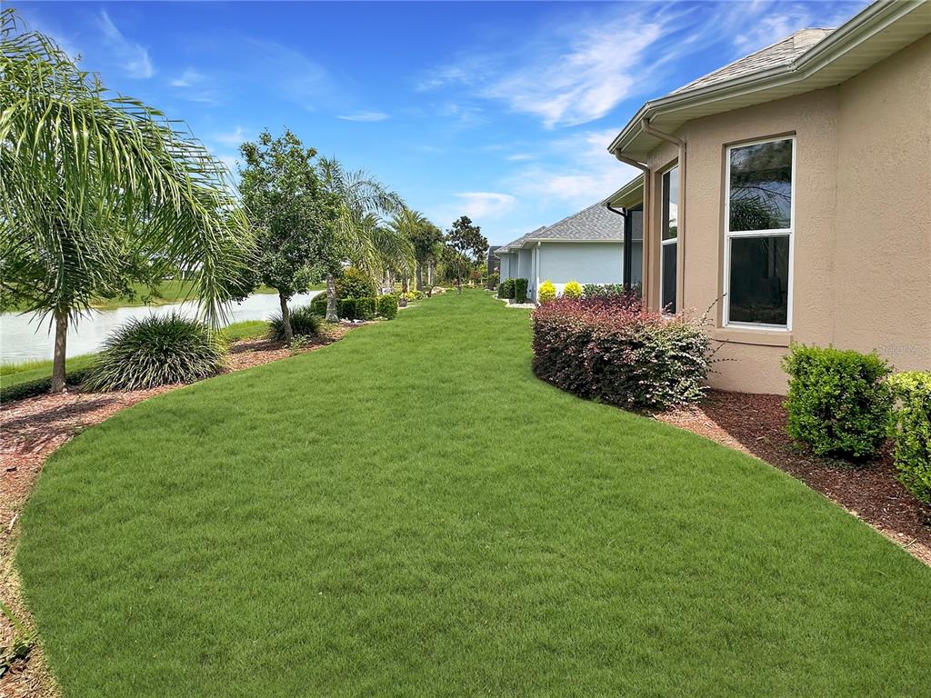 LAKES OF MOUNT DORA