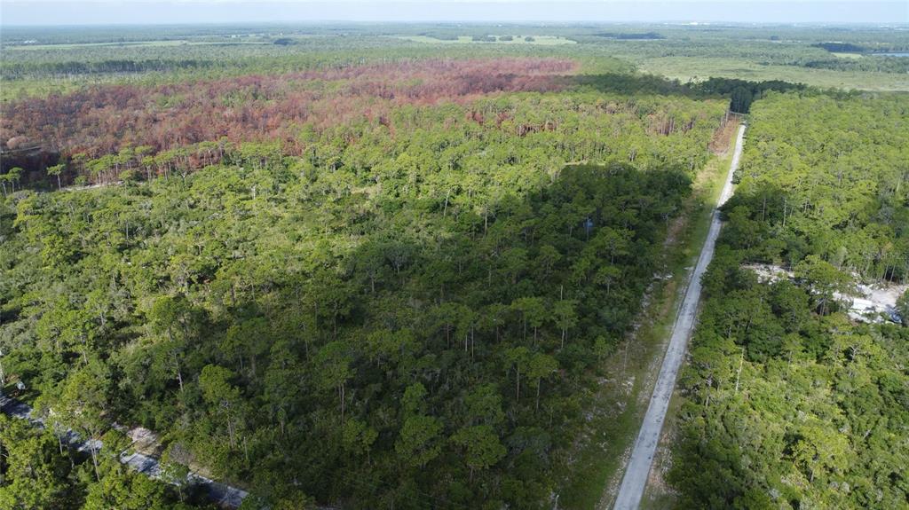 SOUTH SHORE OAKS REP