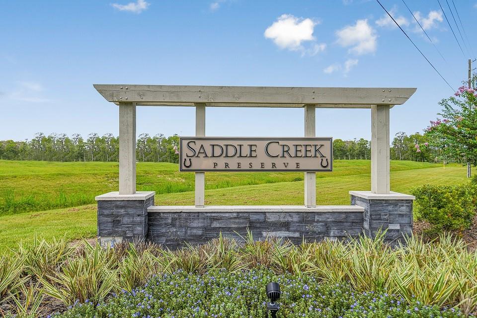 SADDLE CREEK