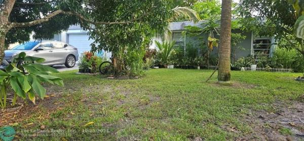 Mainlands Of Tamarac Lake