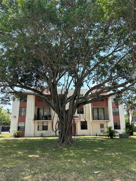 TREE GARDEN