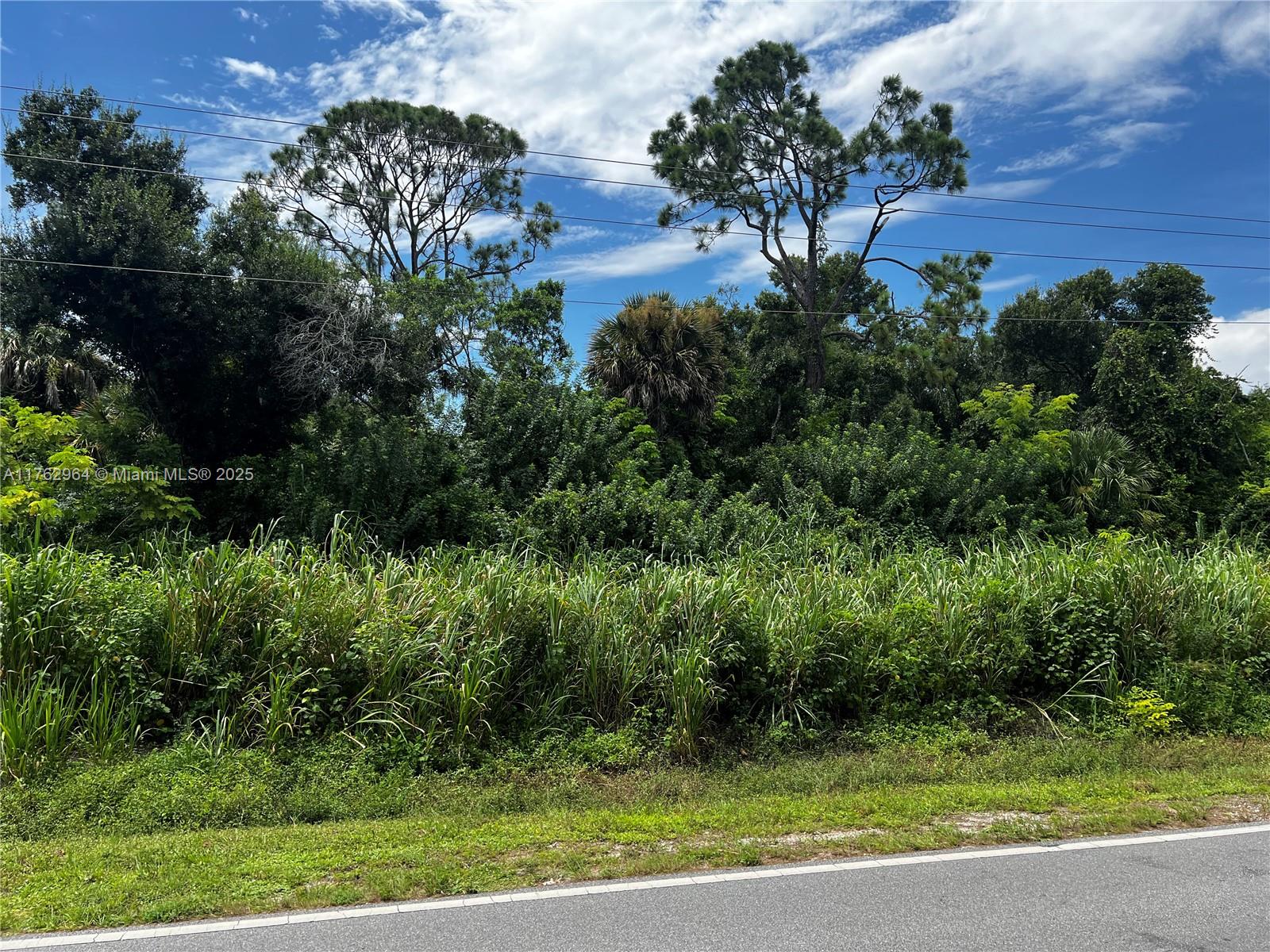 NE Cape Coral - фото