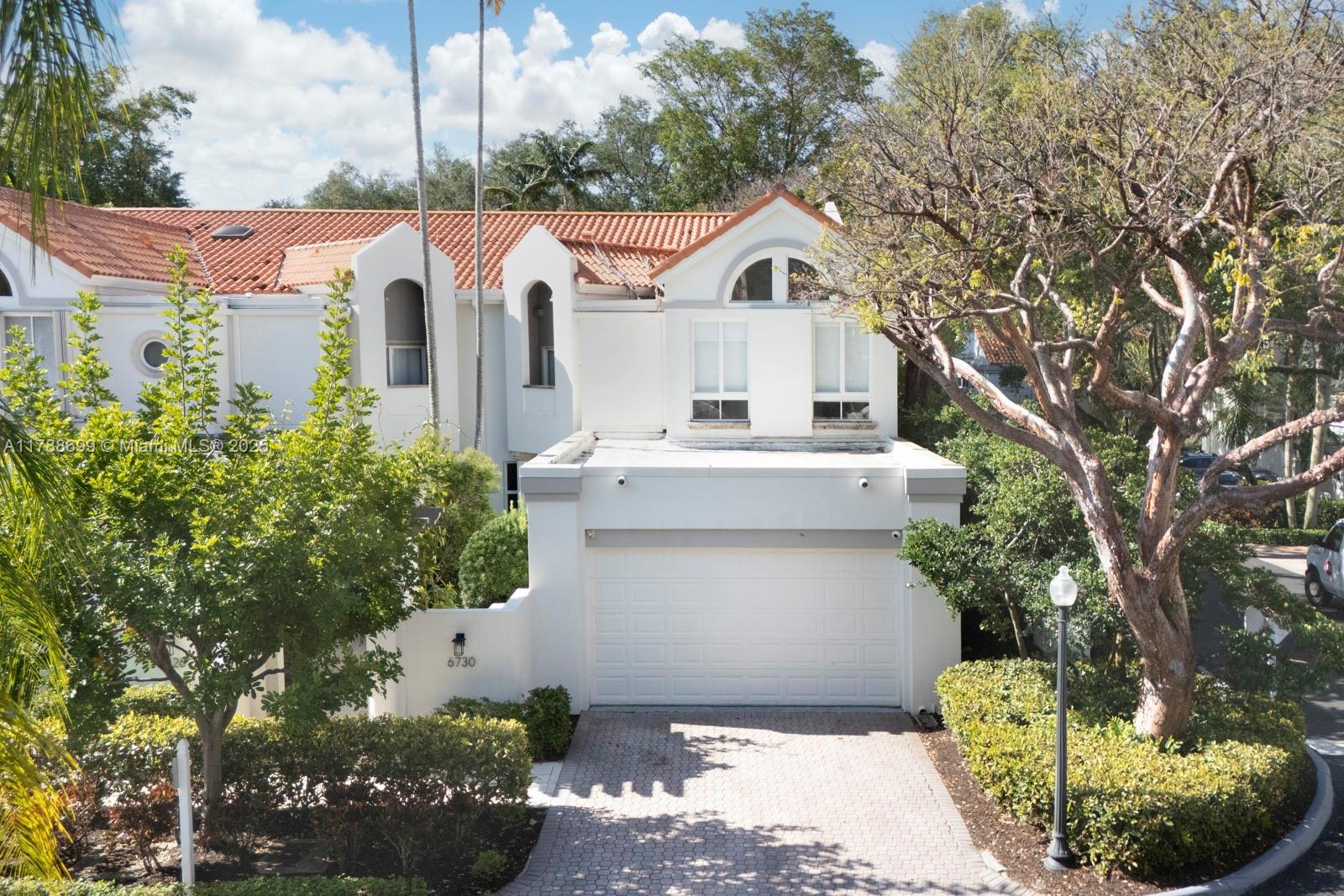 Swan Lake - фото