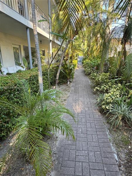 PINE TREE PALMS CONDO