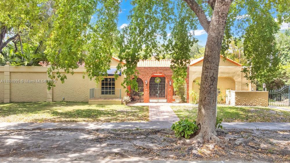 CORAL GROVES - фото