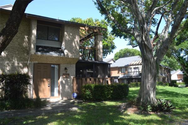 Wimbledon at Jacaranda