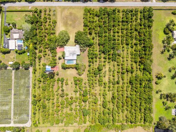 REDLAND CITRUS ORCHARDS S