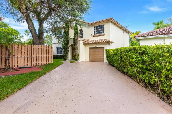 CHANTARELLE AT THE HAMMOC