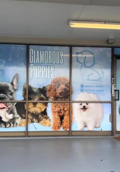 Glamorous Puppies LLC