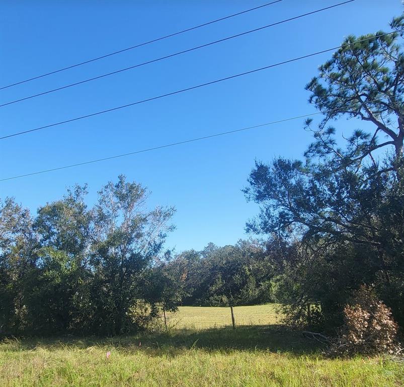 GOLD STAR RANCHES - фото